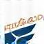 Dubai Flight Academy logo
